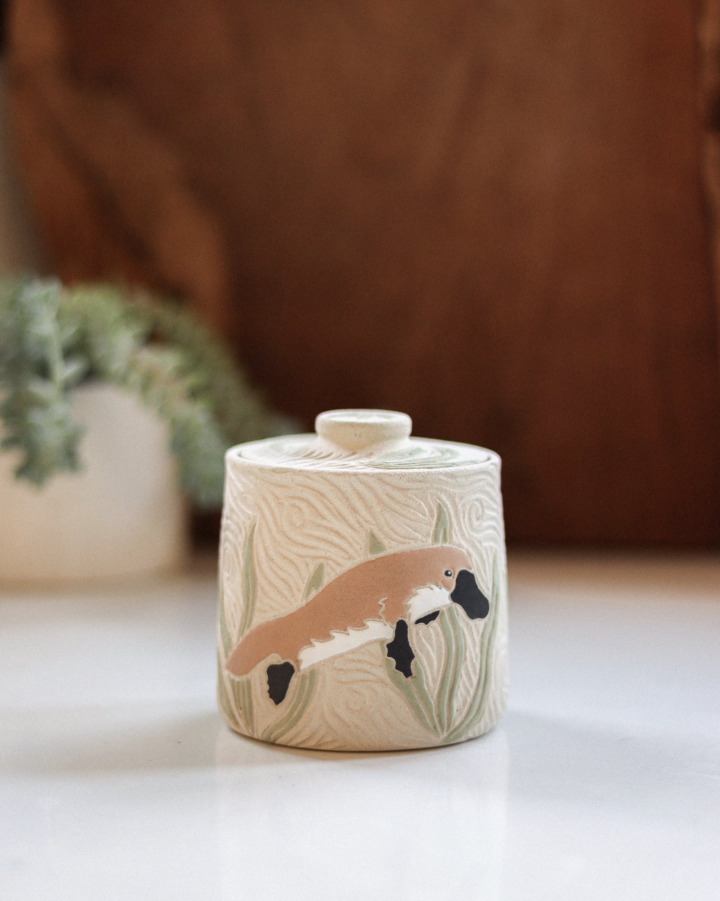 Platypus & Aquatic Plants Salt Jar #1