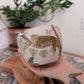Costa Rica Matcha Bowl