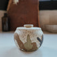 Desert Speckled Salt Jar