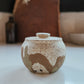 Desert Speckled Salt Jar