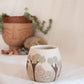 Joshua Tree Mug