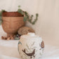 California Coast Salt Jar