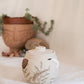 California Coast Salt Jar