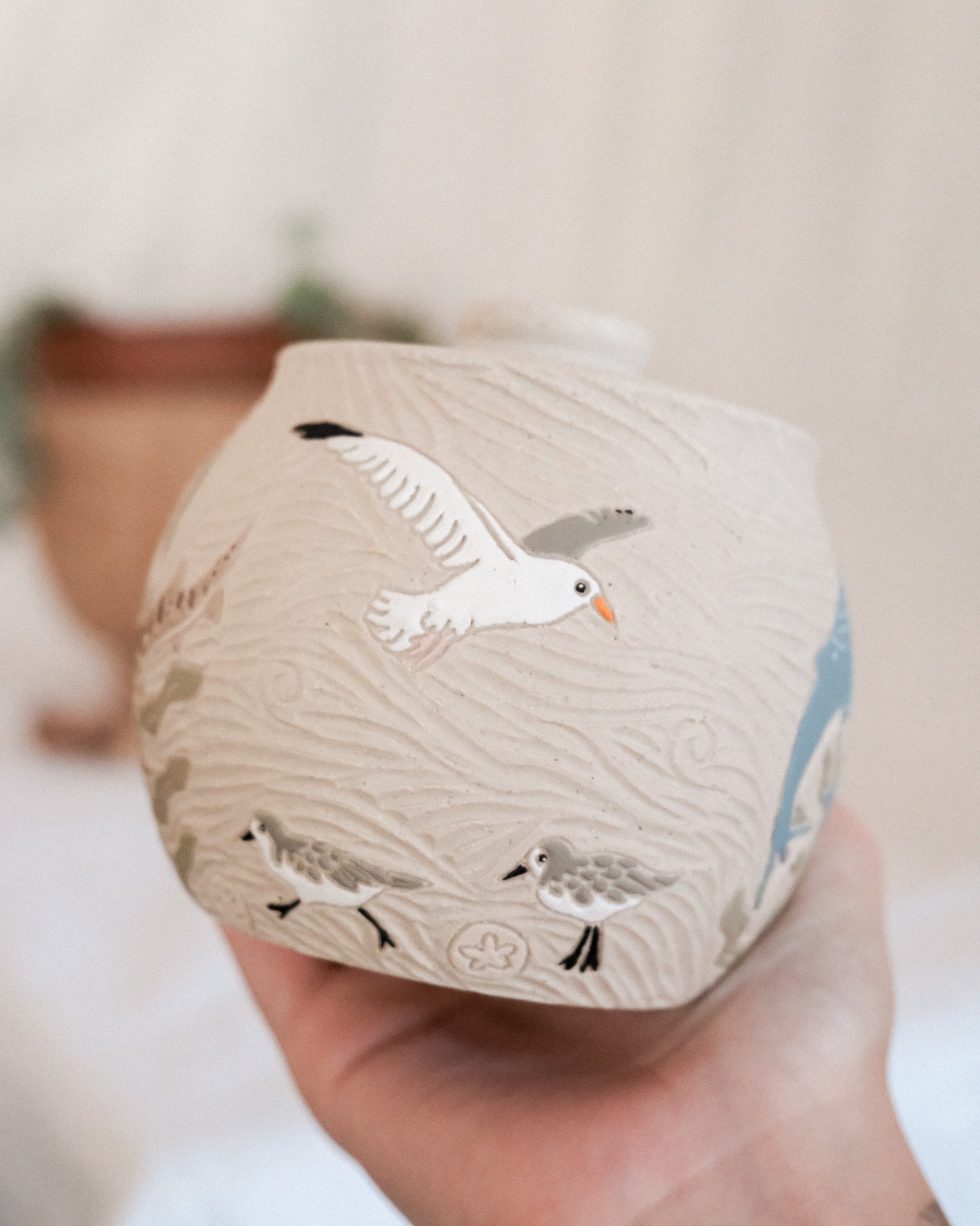 California Coast Salt Jar
