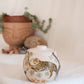Costa Rica Salt Jar