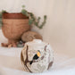 Costa Rica Salt Jar