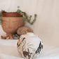 Costa Rica Salt Jar