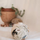 Costa Rica Salt Jar