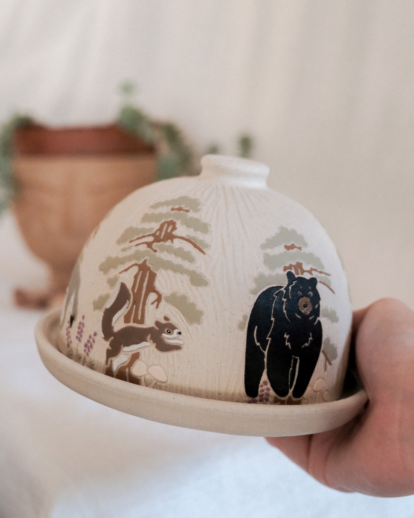 Sequoias Butter Dish