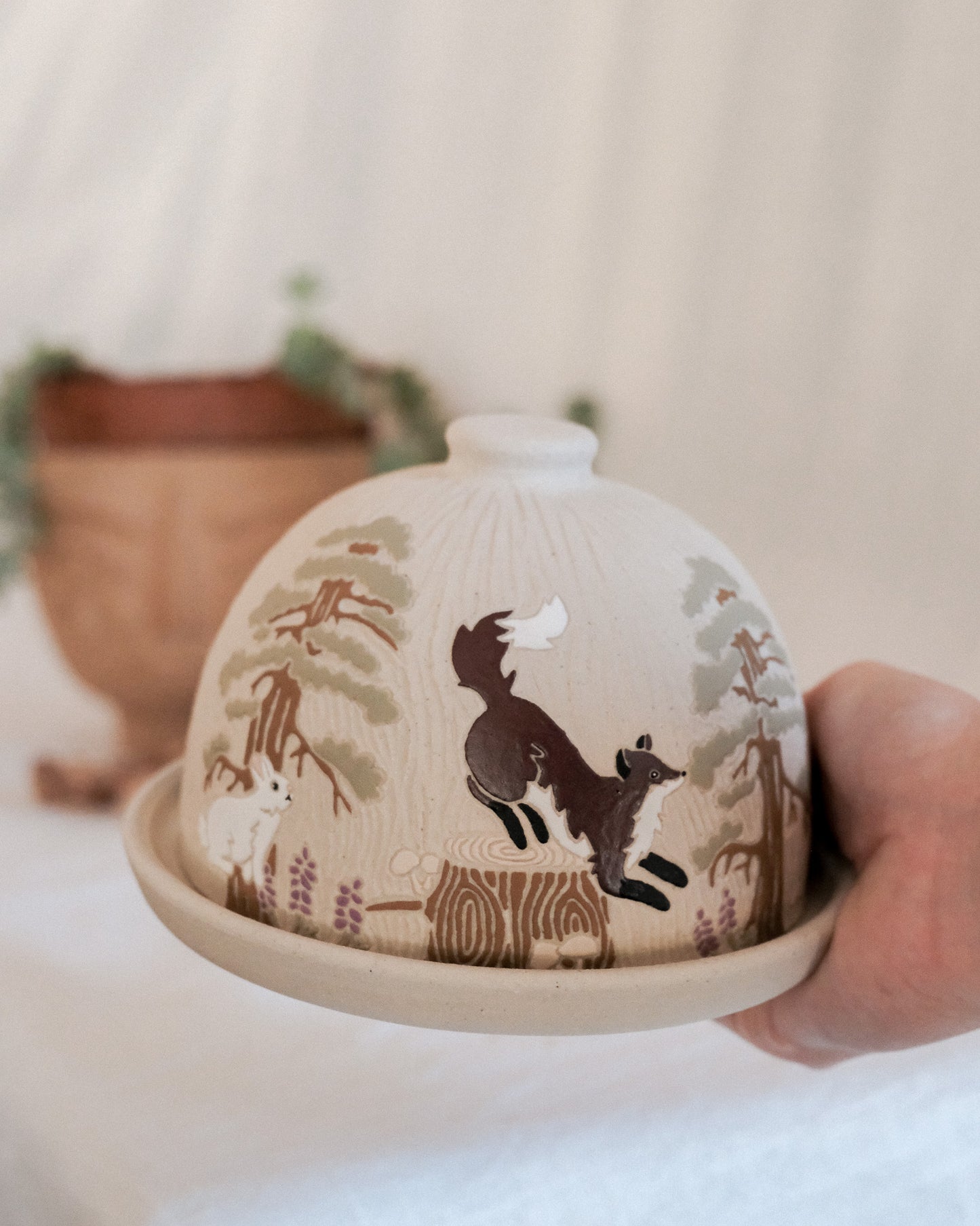 Sequoias Butter Dish