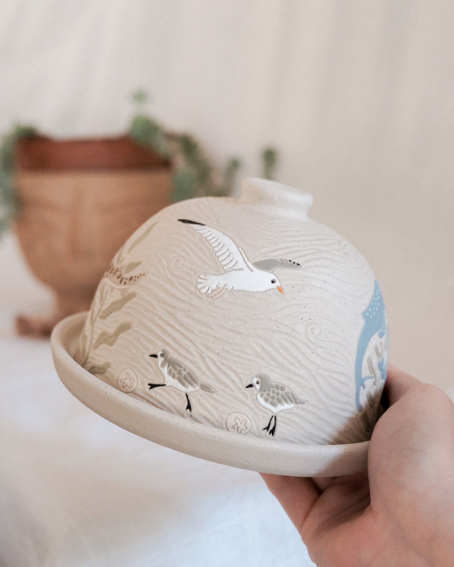 California Coast Butter Dish