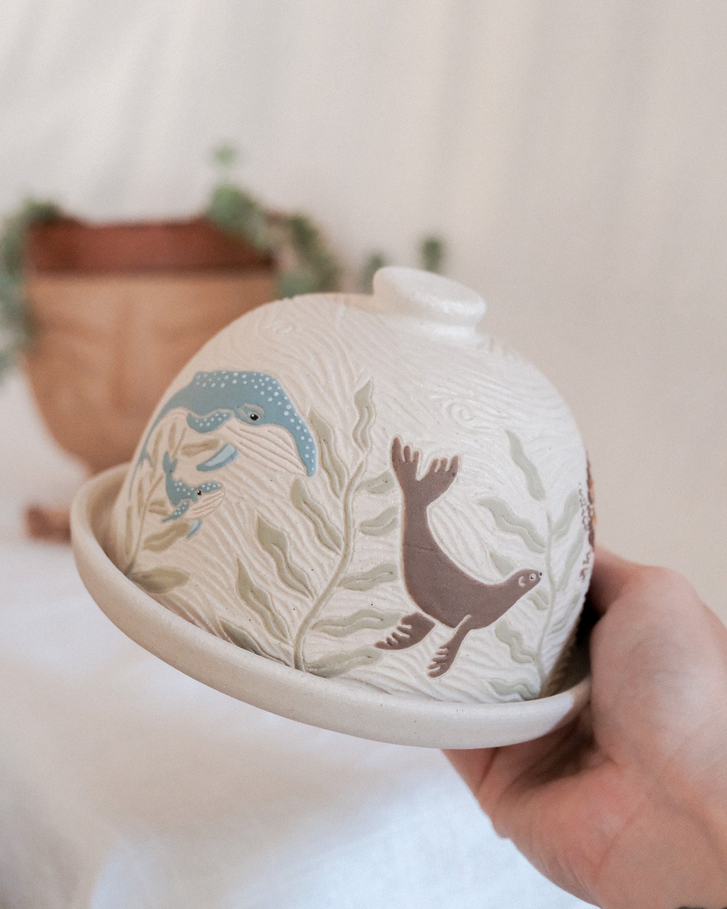 California Coast Butter Dish