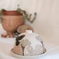 Joshua Tree Butter Dish