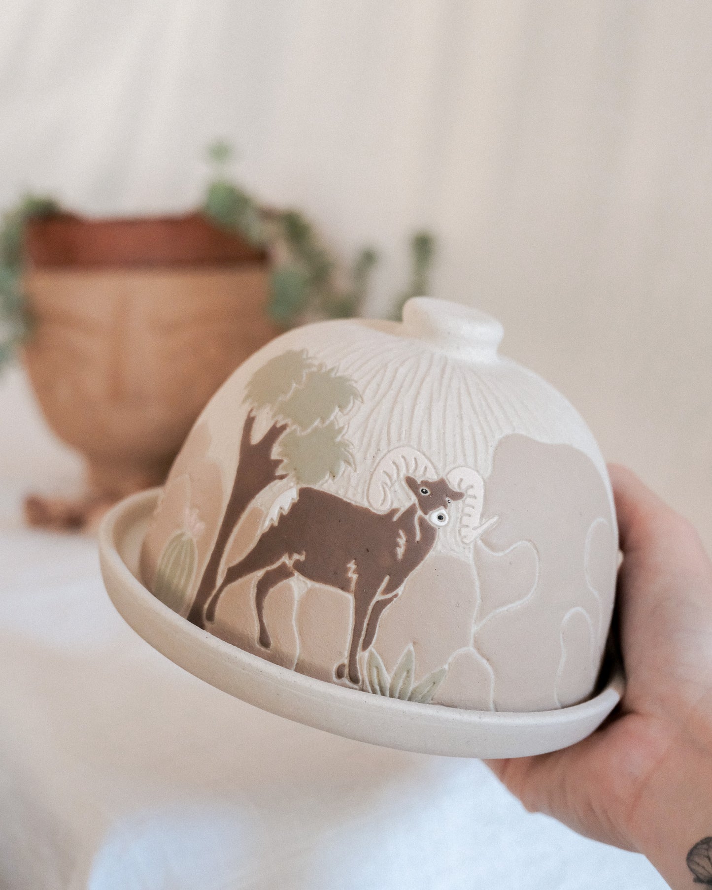 Joshua Tree Butter Dish