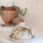 Costa Rica Butter Dish