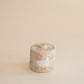 Ducks & Cosmos Salt Jar