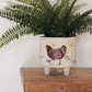 Chicken Planter (Discounted Second)