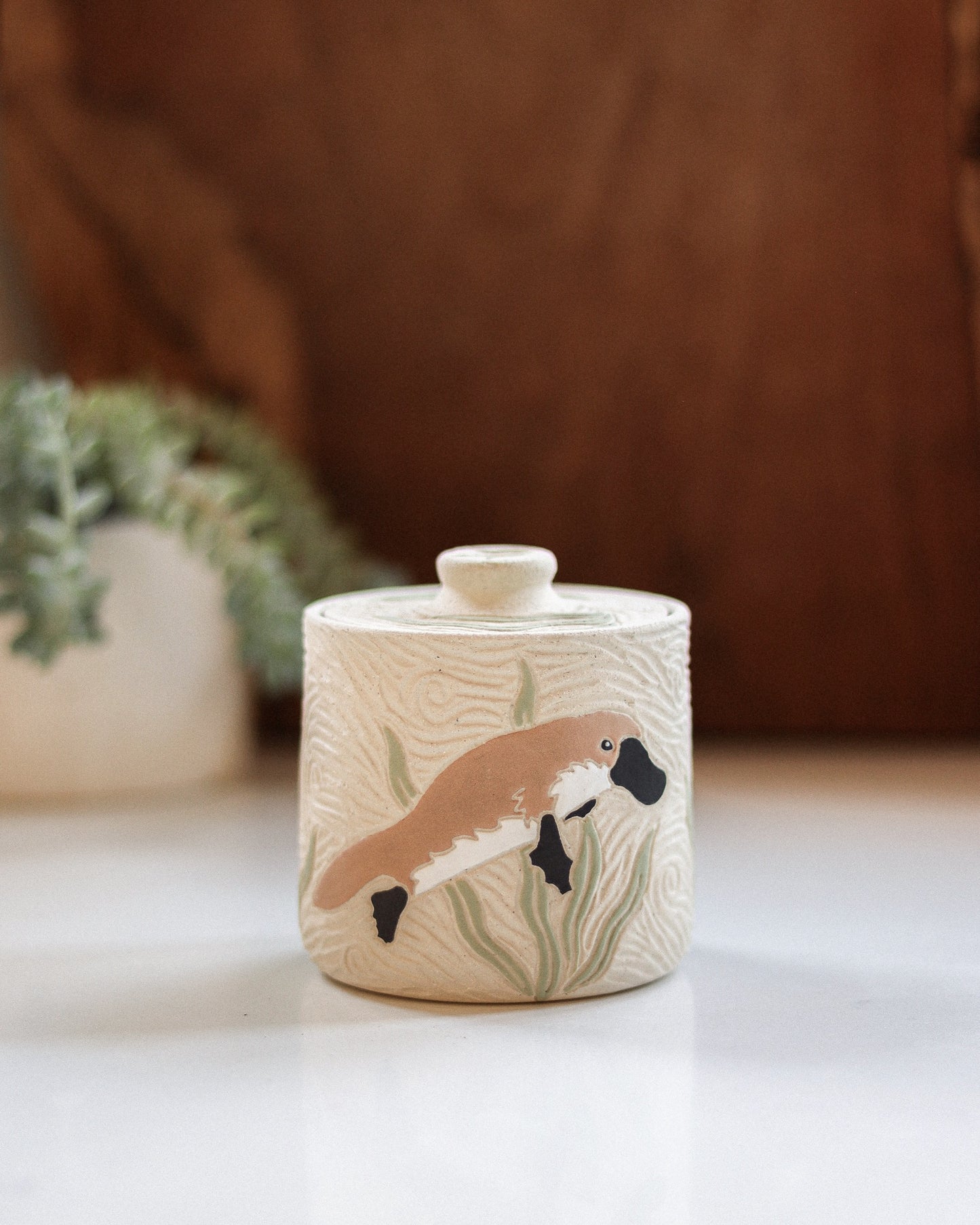 Platypus & Aquatic Plants Salt Jar #2