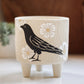 Crow & Matilija Poppy Planter