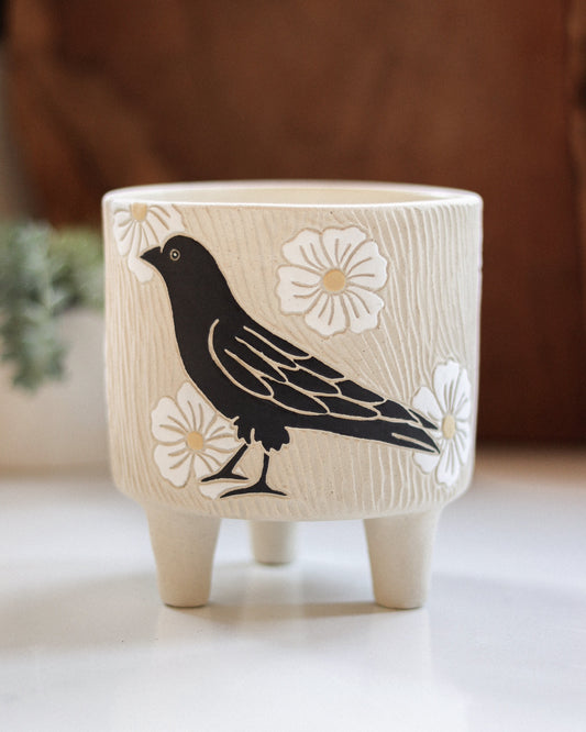 Crow & Matilija Poppy Planter