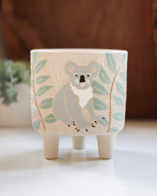 Koala Planter