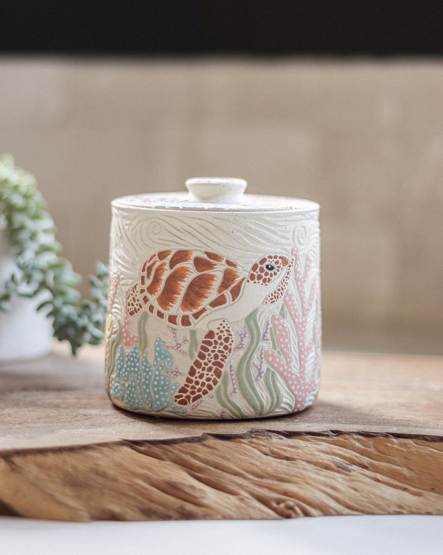 Sea Turtle & Coral Reef Jar