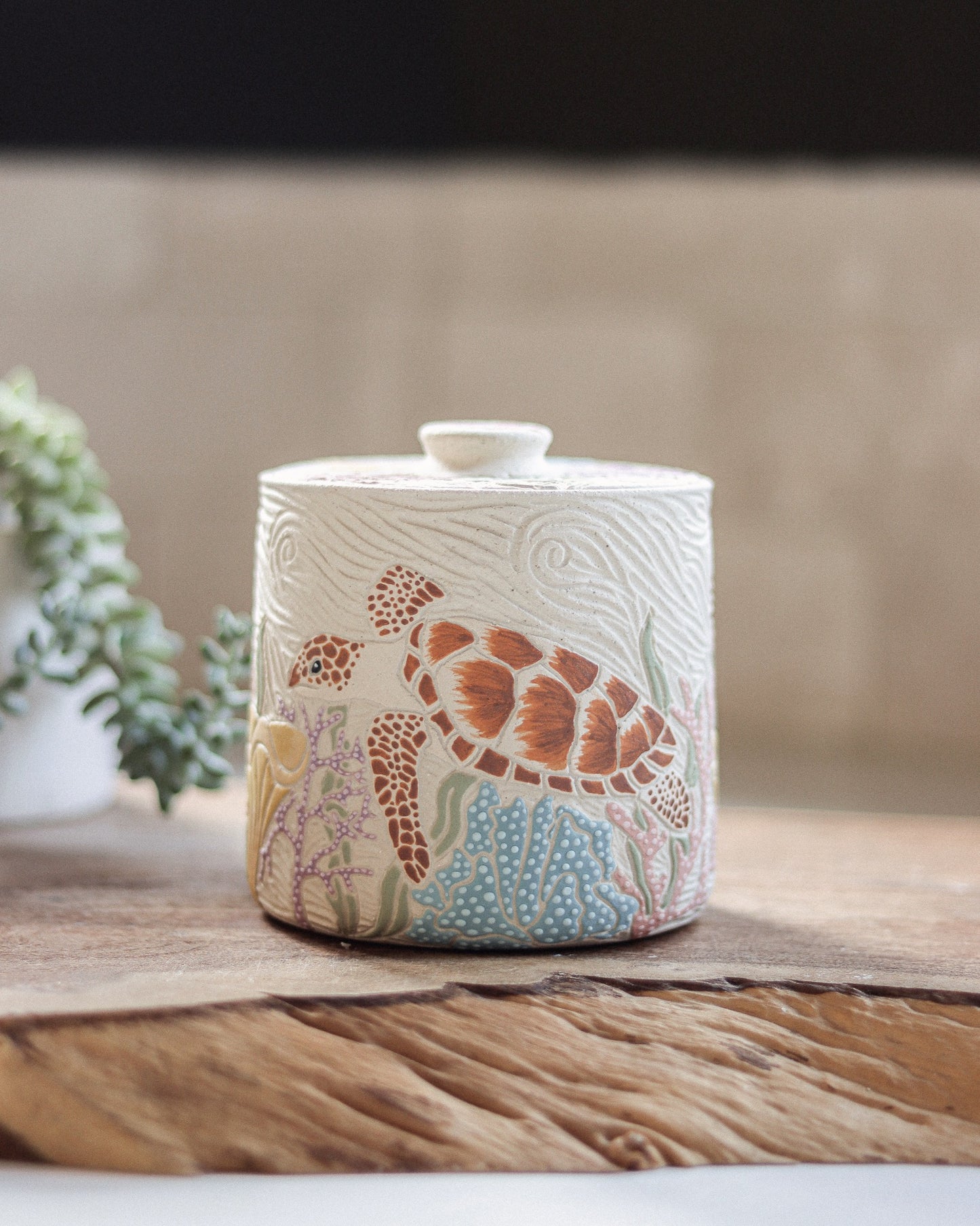 Sea Turtle & Coral Reef Jar