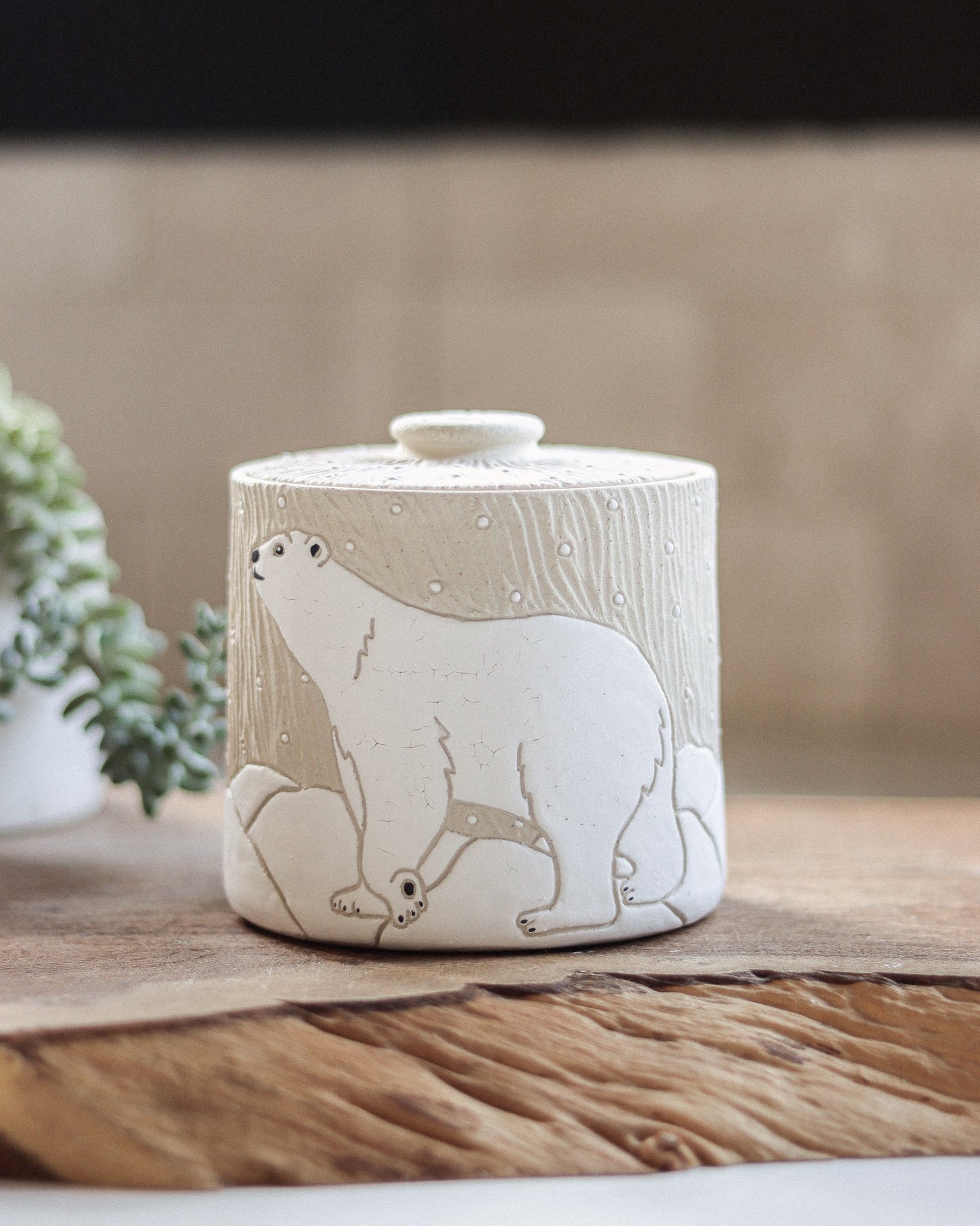 Polar Bear Jar (Discounted Second)